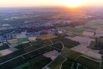 Quartier Billigheim in Billigheim-Ingenheim dans le département Rhénanie-Palatinat, Allemagne vue du ciel