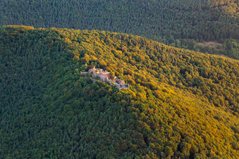 Vue aérienne de Ruines du château de Madenburg à Eschbach dans le département Rhénanie-Palatinat, Allemagne