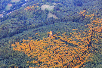 Vue aérienne de Rocher de grès de Bunter dans la forêt à Waldhambach dans le département Rhénanie-Palatinat, Allemagne