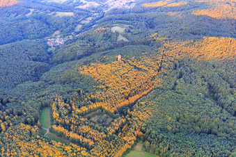 Vue aérienne de Rocher de grès de Bunter dans la forêt à Waldhambach dans le département Rhénanie-Palatinat, Allemagne