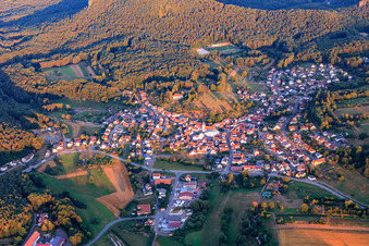 Vue aérienne de Vue de la forêt du Palatinat le matin depuis l'est à le quartier Gossersweiler in Gossersweiler-Stein dans le département Rhénanie-Palatinat, Allemagne