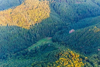 Vue aérienne de Tour Saint-Étienne à Hauenstein dans le département Rhénanie-Palatinat, Allemagne