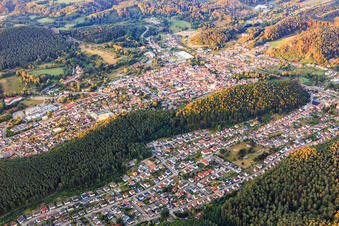 Vue aérienne de Vue de la ville dans la forêt du Palatinat le matin depuis le nord-est à Dahn dans le département Rhénanie-Palatinat, Allemagne