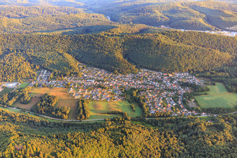 Photographie aérienne de Vue de la forêt du Palatinat le matin depuis le sud-est à Ruppertsweiler dans le département Rhénanie-Palatinat, Allemagne