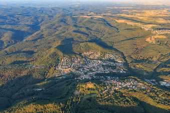 Vue aérienne de Vue de la forêt du Palatinat le matin depuis l'est à Lemberg dans le département Rhénanie-Palatinat, Allemagne