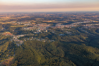 Vue aérienne de Quartier Ruhbank in Pirmasens dans le département Rhénanie-Palatinat, Allemagne