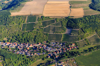 Vue aérienne de Vue du village sous les vignes sur le Glan à Raumbach dans le département Rhénanie-Palatinat, Allemagne