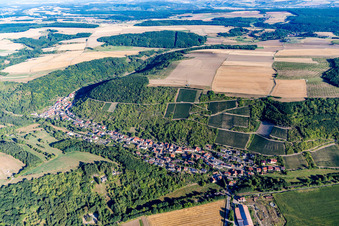 Vue aérienne de Vignes en bordure du village à Raumbach dans le département Rhénanie-Palatinat, Allemagne