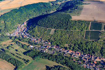 Vue aérienne de Vue du village sous les vignes sur le Glan à Raumbach dans le département Rhénanie-Palatinat, Allemagne