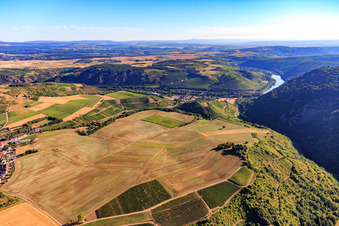 Vue aérienne de Plateau au-dessus de la Nahe à Duchroth dans le département Rhénanie-Palatinat, Allemagne