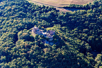 Photographie aérienne de Ruines du château de Montfort à Hallgarten dans le département Rhénanie-Palatinat, Allemagne