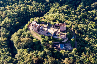 Vue oblique de Ruines du château de Montfort à Hallgarten dans le département Rhénanie-Palatinat, Allemagne