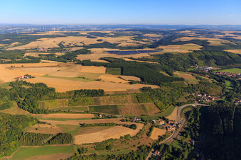 Vue aérienne de Vignobles de la vallée d'Alsenz à le quartier Cölln in Mannweiler-Cölln dans le département Rhénanie-Palatinat, Allemagne