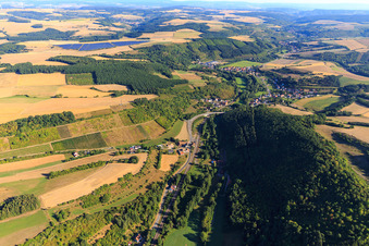 Vue aérienne de Vignobles de la vallée d'Alsenz à le quartier Cölln in Mannweiler-Cölln dans le département Rhénanie-Palatinat, Allemagne