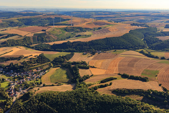 Vue aérienne de Parc éolien de Niedermoschel à Alsenz dans le département Rhénanie-Palatinat, Allemagne