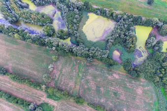 Photographie aérienne de Étang avec lentilles d'eau à le quartier Garlstorf in Bleckede dans le département Basse-Saxe, Allemagne
