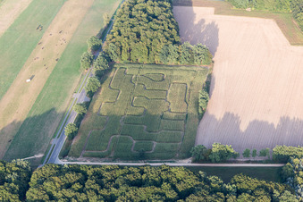 Vue aérienne de Labyrinthe - Labyrinthe dans un champ de maïs à Amelinghausen dans le département Basse-Saxe, Allemagne