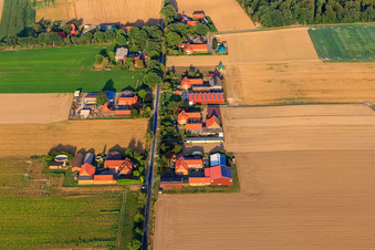 Vue aérienne de Six cours sur Helmstr à Ebstorf dans le département Basse-Saxe, Allemagne
