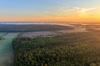 Vue aérienne de Champs et forêts de la lande de Lunebourg à Scharnebeck dans le département Basse-Saxe, Allemagne
