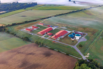 Vue aérienne de Graben 24 avec l'atelier de formation porcine du Centre de formation agricole (LBZ) Echem à Scharnebeck dans le département Basse-Saxe, Allemagne