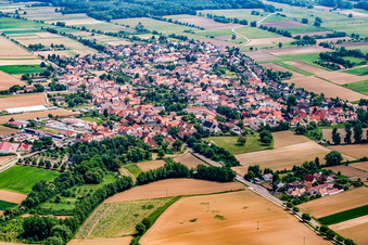 Vue aérienne de Village vu de l'ouest à Minfeld dans le département Rhénanie-Palatinat, Allemagne