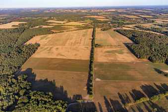 Bengerstorf