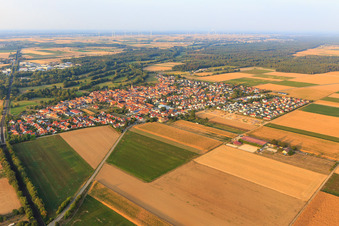 Photographie aérienne de Développement de la nouvelle zone de développement Fichtenweg à Steinweiler dans le département Rhénanie-Palatinat, Allemagne