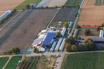 Vue aérienne de Zapf Hofmarkt Hofcafé à Kandel dans le département Rhénanie-Palatinat, Allemagne