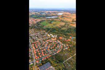 Vue aérienne de Anneau de fleurs, Buchstr. à Jockgrim dans le département Rhénanie-Palatinat, Allemagne