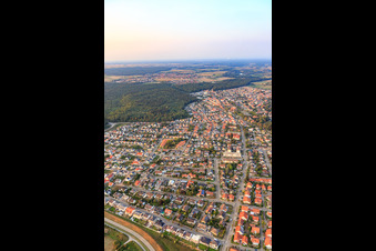 Vue aérienne de Buchstr à Jockgrim dans le département Rhénanie-Palatinat, Allemagne