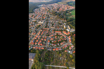 Photographie aérienne de Anneau de fleurs, Buchstr. à Jockgrim dans le département Rhénanie-Palatinat, Allemagne