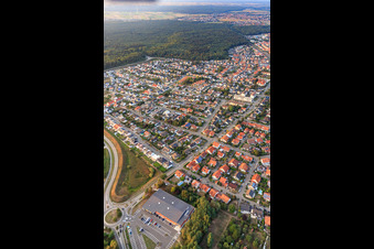 Vue aérienne de Buchstraße, Forstlandallee à Jockgrim dans le département Rhénanie-Palatinat, Allemagne