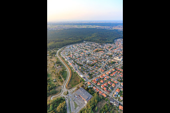 Photographie aérienne de Forstlandallee à Jockgrim dans le département Rhénanie-Palatinat, Allemagne