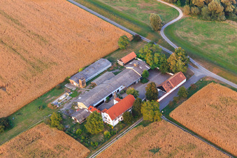 Vue aérienne de Domaine de Ludwigsau à le quartier Maximiliansau in Wörth am Rhein dans le département Rhénanie-Palatinat, Allemagne