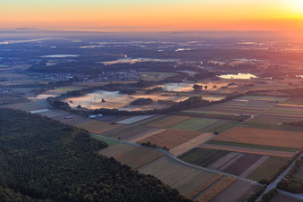 Vue aérienne de Boucle du Scheidbach avec brume matinale à Leimersheim dans le département Rhénanie-Palatinat, Allemagne
