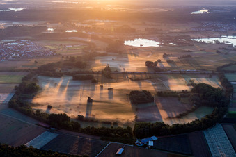 Vue aérienne de Prairies du Rhin dans la brume matinale près de Kuhhardt à Rülzheim dans le département Rhénanie-Palatinat, Allemagne