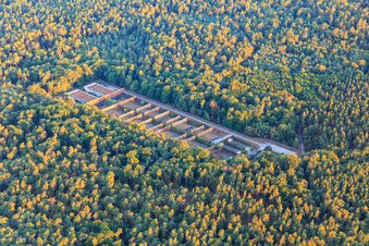 Vue aérienne de Stand de tir de Germersheim à le quartier Niederlustadt in Lustadt dans le département Rhénanie-Palatinat, Allemagne