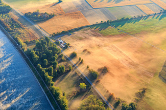 Vue aérienne de Aérodrome de Herrenteich au bord du Rhin avec brume matinale à Hockenheim dans le département Bade-Wurtemberg, Allemagne
