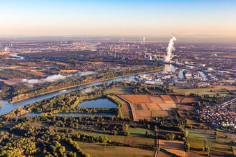 Vue aérienne de GKM sur le Rhin à le quartier Rheinau in Mannheim dans le département Bade-Wurtemberg, Allemagne
