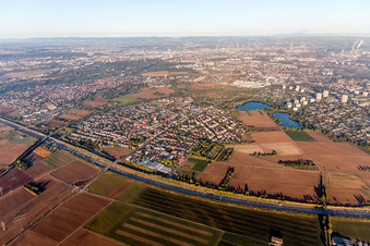 Vue aérienne de Quartier Wallstadt in Mannheim dans le département Bade-Wurtemberg, Allemagne