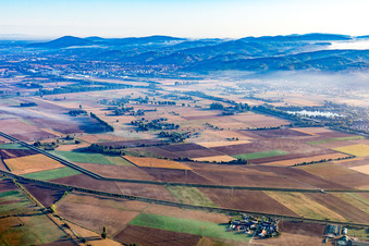 Vue aérienne de Laudenbach à Viernheim dans le département Hesse, Allemagne