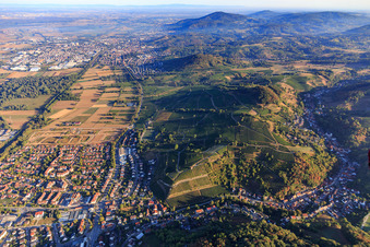 Vue aérienne de Vue depuis la vallée de Hambach vers le nord sur le bord de l'Odenwald avec le point de vue du Géoparc Vin-Culture-Paysage (vignoble de Steinkopf) à le quartier Unter-Hambach in Heppenheim dans le département Hesse, Allemagne