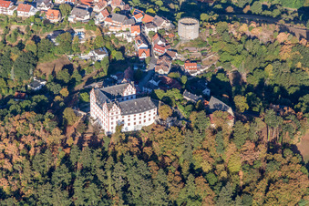 Image drone de Château de Lichtenberg à le quartier Niedernhausen in Fischbachtal dans le département Hesse, Allemagne