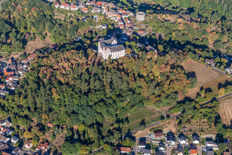 Château de Lichtenberg à le quartier Niedernhausen in Fischbachtal dans le département Hesse, Allemagne d'en haut