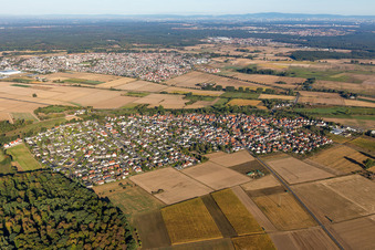 Vue aérienne de Quartier Altheim in Münster dans le département Hesse, Allemagne