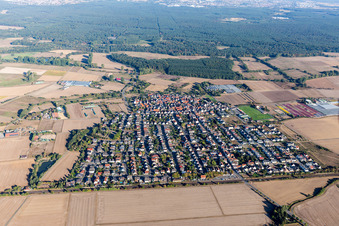 Vue aérienne de Quartier Hergershausen in Babenhausen dans le département Hesse, Allemagne