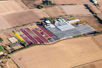 Vue aérienne de Pépinière Jörg Wolter des Gorges de l'Ute à le quartier Hergershausen in Babenhausen dans le département Hesse, Allemagne