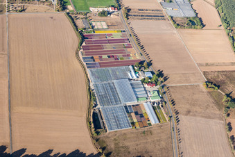 Vue oblique de Pépinière Jörg Wolter des Gorges de l'Ute à le quartier Hergershausen in Babenhausen dans le département Hesse, Allemagne
