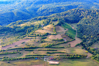 Vue aérienne de Anciens vignobles à flanc de colline avec champs et haies à le quartier Zell am Ebersberg in Knetzgau dans le département Bavière, Allemagne