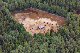 Vue aérienne de RAMSÈS à Geiselwind dans le département Bavière, Allemagne